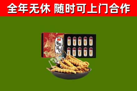 大埔县回收冬虫夏草价格