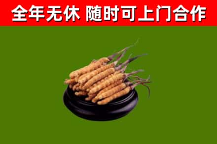 大埔县烟酒回收冬虫夏草.jpg