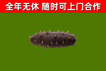 大埔县烟酒回收干海参.jpg